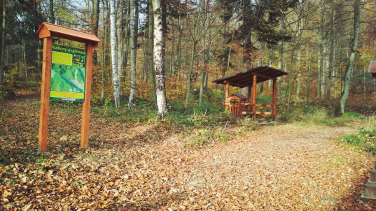 Liečivé singletracky a kyslíkové cesty v okolí Bardejova