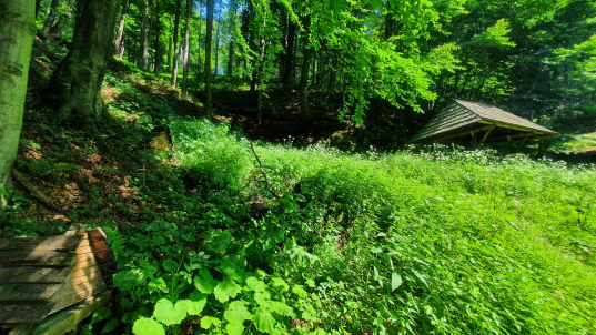 Projekty OOCR ,,Šariš“-Bardejov PRED a PO realizácii