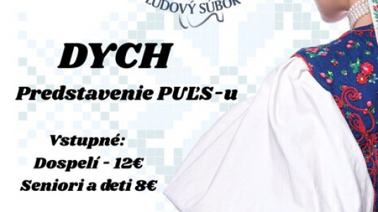 DYCH Predstavenie PUĽS-u