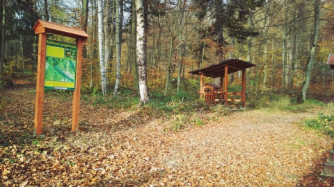 Rodinný singletrack