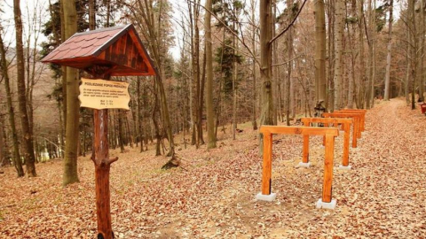 Kyslíková cesta Bardejovské kúpele